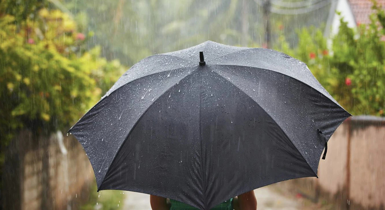 Insurance-&-Risk-Management